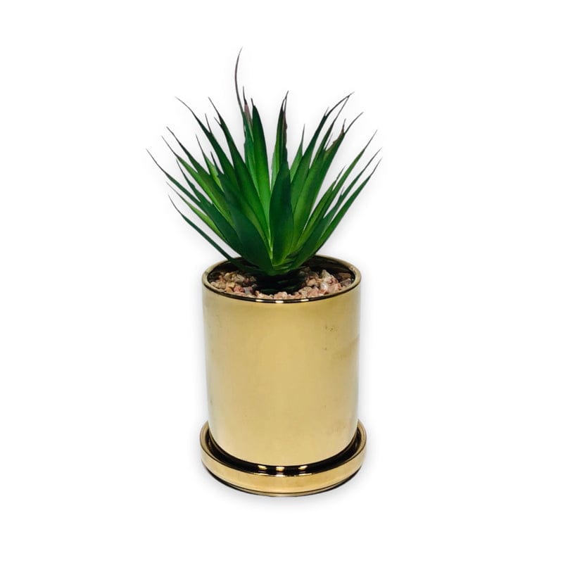 Golden Planter Pot & Coaster