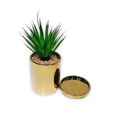 Golden Planter Pot & Coaster