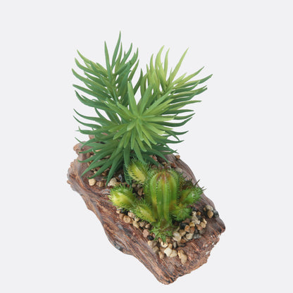 Stone Based Succulent Plant