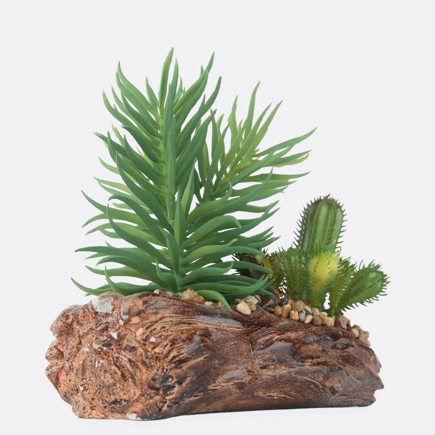 Stone Based Succulent Plant